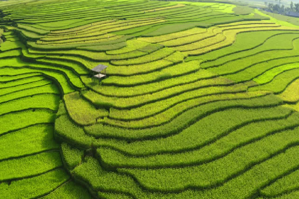Mu Cang Chai Tour 3 Days - photo 41